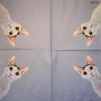 KAT-380 Katzen - 3-lagig - Ihr - Nicky Litchfield